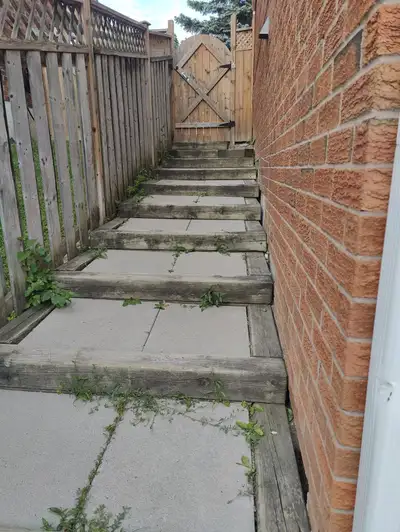 Walkout basement available with 1 parking and additional on request near major oaks and brock road i...