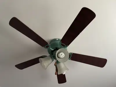 Hunter Ceiling Fan, View more