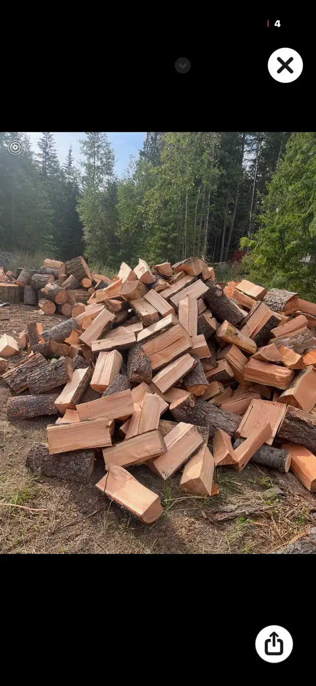 firewood 64230803406593120