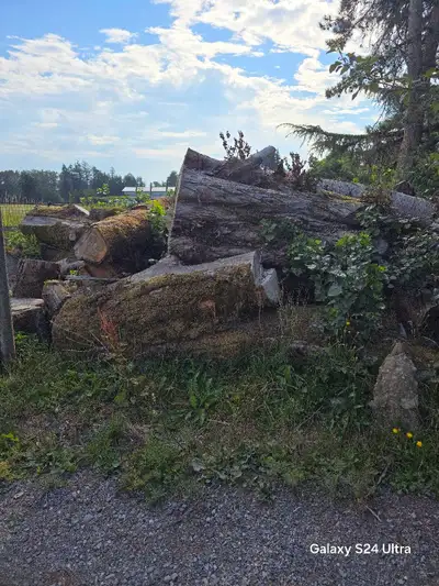 Cut logs, View more