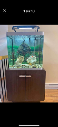 Aquarium 40 gallons osaka 155 avec meuble