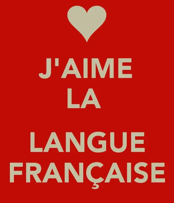French Class Students adults  by Certified Teacher63735896680961121