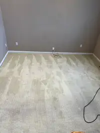 Shampoo Steam Carpet floors Stairs Rooms Hallway Closet $40
