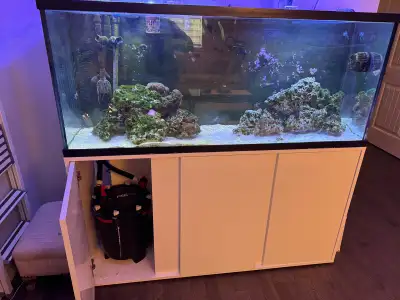 6”x3”x3” Includes: 2 ecotech radion xr30s 1 vortech mp60 1 fluval fx6 All fish and coral in the tank