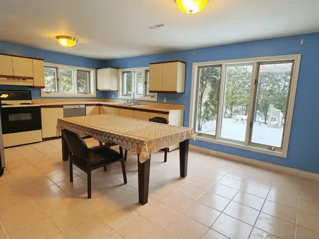 Walk Out Basement Larger Living room, One one room for Rent