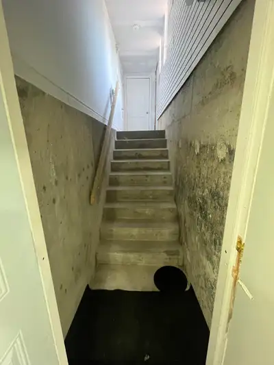 Legal basement for rent from September good for vegetarian couple or students