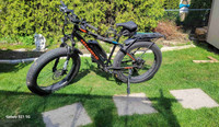 Fat tire ebike