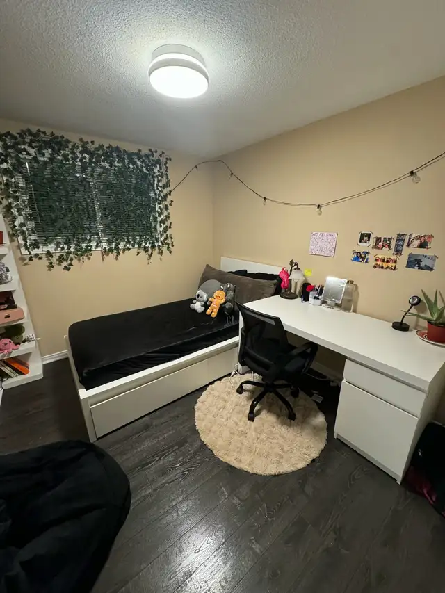 Room For Rent