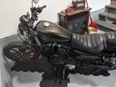 Selling mint condition Iron 883 it has very low km and stores inside garage with no scratches.