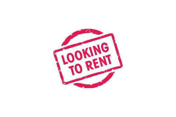 Looking for a 1-2 Bedroom in Riverview  in Long Term Rentals in Moncton