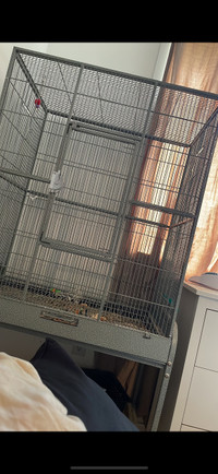 Large bird cage 