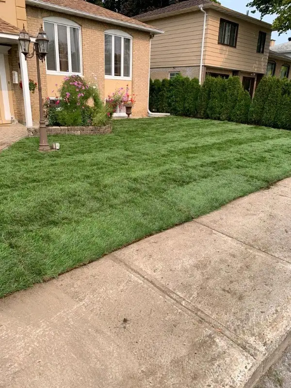 SPRING SPECIAL! RICHSCAPES LANDSCAPING in Interlock, Paving & Driveways in Mississauga / Peel Region - Image 8
