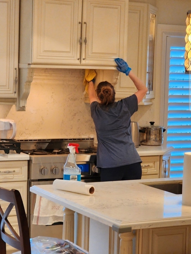 HI & LOW DETAILED CLEANING SERVICES Cleaners & Cleaning Hamilton