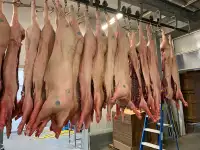 Pigs and we have meat shop at Warburgcolony meat store