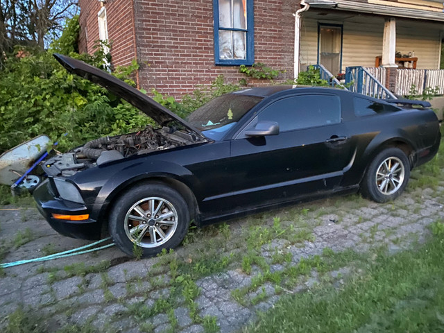 2007Ford Mustang & F150 4 door 2 for  $1000 in Cars & Trucks in Ottawa