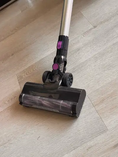 Pet hair and spot cleaning duo, View more