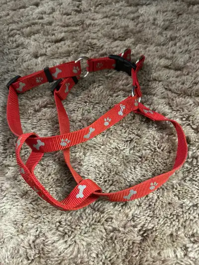Dog halter, View more