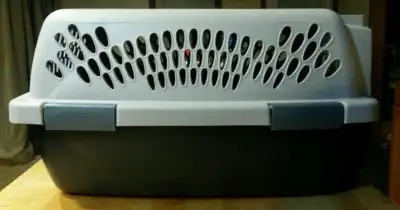 Daisy Floor Lamp $48 petmate 19 inch pet taxi travel kennel 18x12x10 $19 used Duck Planter new in bo...