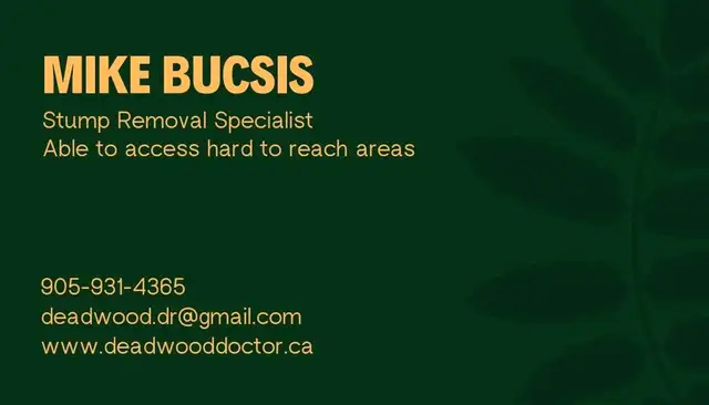 wood chipper for rent in Outdoor Tools & Storage in St. Catharines - Image 4