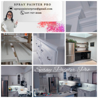 Cabinet Spray, Regular, Decor Painting & Custom Trimming & Floor