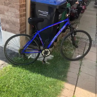 Large-XL blue Nakamura Royal aluminum hybrid bike, View more