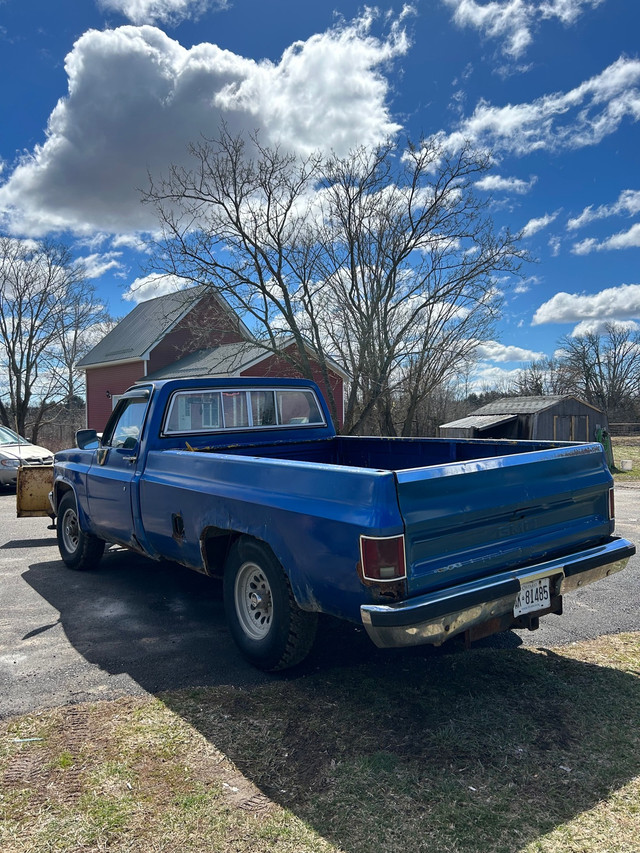 1981 Chevrolet 1500 regular cab in Cars & Trucks in Napanee - Image 2