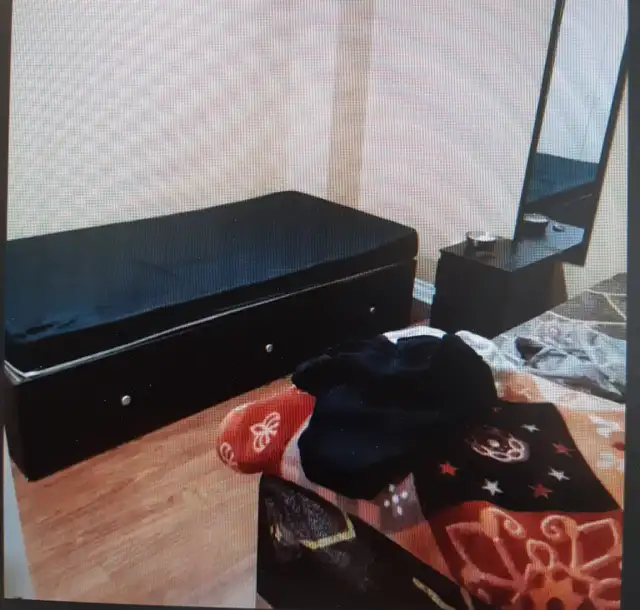 Clean & Furnished Girls Room Near Sheridan College Brampton