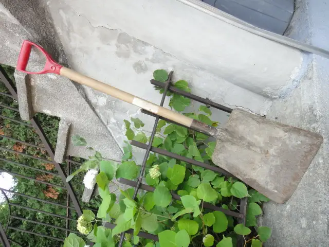 Garden Shovel589631697989160961
