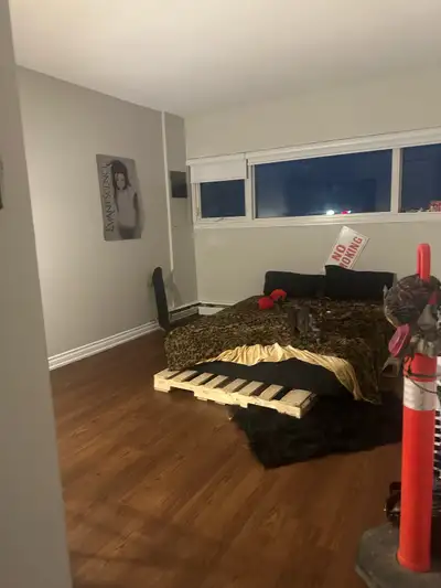 looking for someone to take over my half of a lease cat friendly home private bedroom shared common...