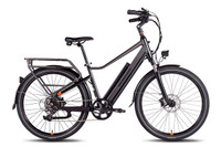 USED E-Bike - 2021 Rad City 5 Plus Step-Over
