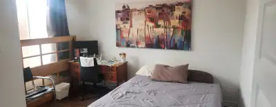 Large bedroom for rent on the top floor of a triplex in a beautiful and renovated, sunny plateau apa...