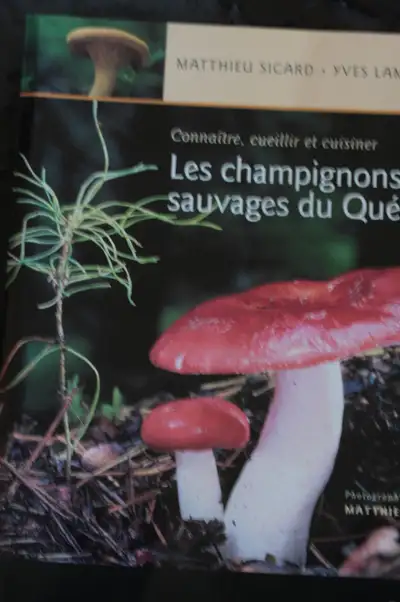 LES CHAMPIGNONS SAUVAGES DU QUÉBEC, View more