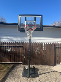 Basketball net - adjustable height