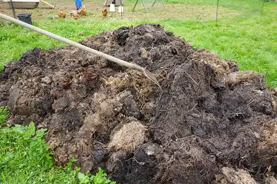 Willing to take loads of Manure. Can be fresh, seasoned, composted etc. Large area, plenty room to t...