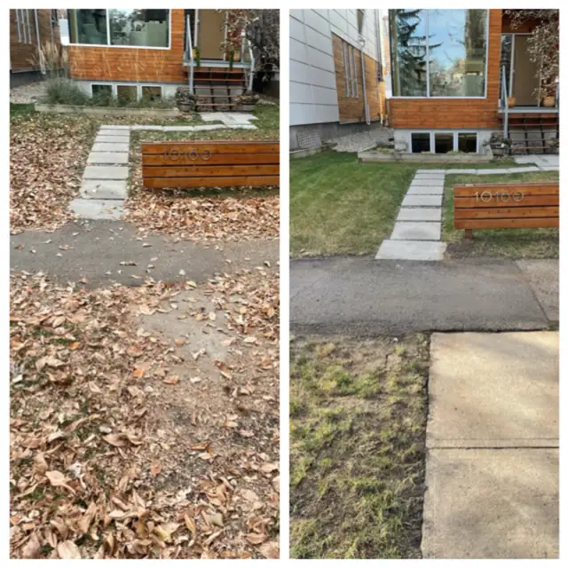 FALL CLEANUP • OVERGROWN YARD586457737531248647