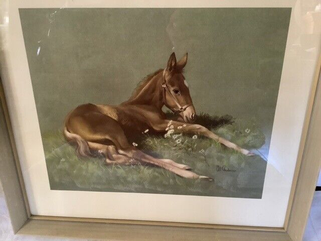 Vtg Colt Print (part of Colts & Champions series) C.W. Anderson in Arts & Collectibles in Belleville - Image 4