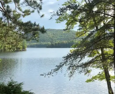 Last minute 3-bedroom cottage rental available - July 5-12, View more