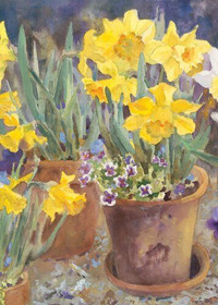 New Toland Home Garden Potted Daffodils House Large Flag