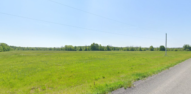 95 Acres of Treed and Farmland for Sale! Shannette Rd in Land for Sale in Brockville - Image 4