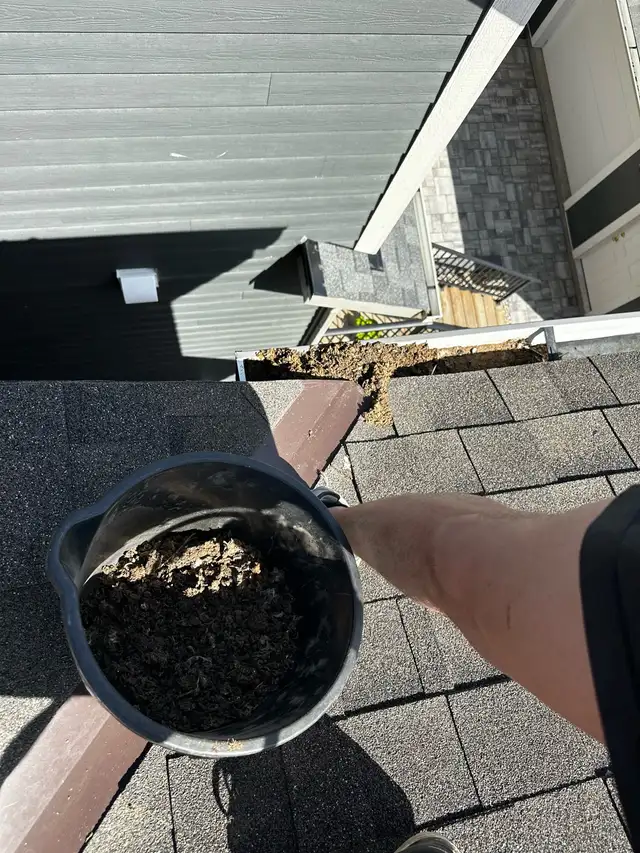Gutter Cleaning – Fast, Reliable & Local (Free Quote!)62863233763713121
