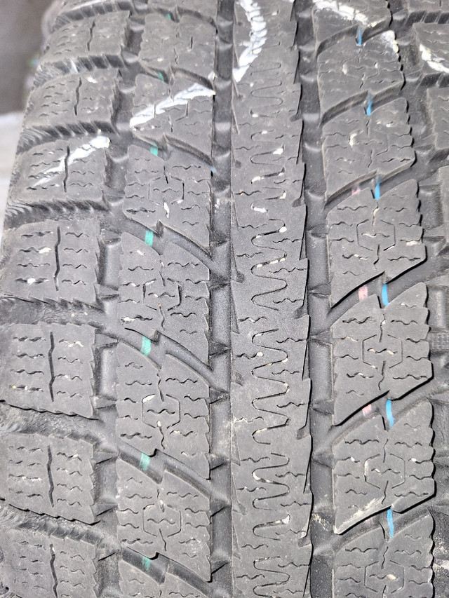 Honda Civic Winter Tires on rims in Tires & Rims in Oshawa / Durham Region - Image 3
