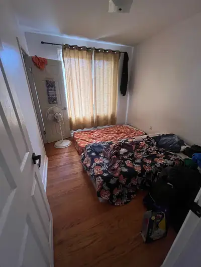 One room available in 3 bedroom house at Albion & Islington from Feb 1. Living room, kitchen and was...