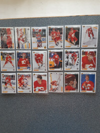 Carte de hockey Flames de Calgary Upper Deck 1991-1992