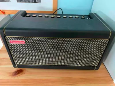 POSITIVE GRID SPARK 40 amp, View more