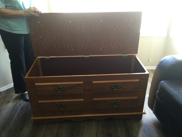Chest hope/ storage in Dressers & Wardrobes in Strathcona County