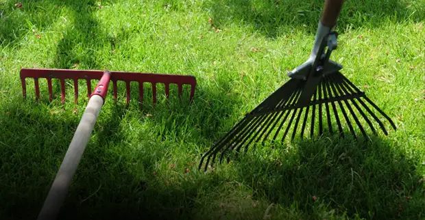Lawn Maintenance