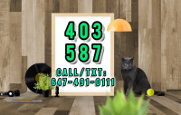 Business Edition Vip 403/587 Calgary Phone Numbers