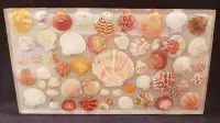 Handmade Resin Seashell Charcuterie Board