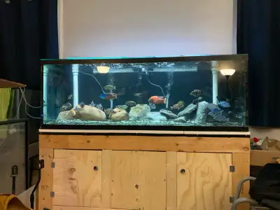 180 gallon, View more
