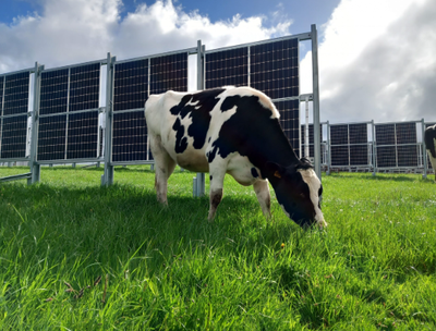 -Power Your Farm the Smart Way – Solar That Works with Your Crop, View more